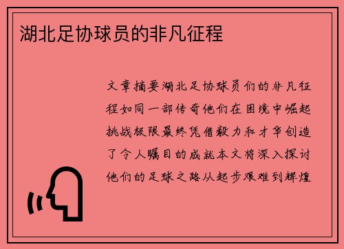 湖北足协球员的非凡征程